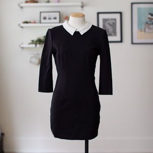 Cooperative White Collar Black Dress